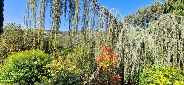 maison 2630 m² terrain saint martin d'ardeche Saint-Martin-d'Ardèche (07700)