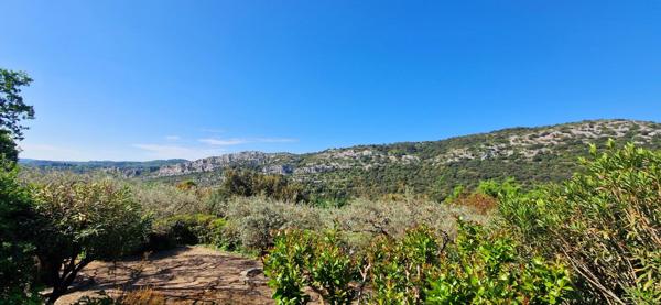 maison 2630 m² terrain saint martin d'ardeche Saint-Martin-d'Ardèche (07700)