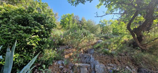 maison 2630 m² terrain saint martin d'ardeche Saint-Martin-d'Ardèche (07700)