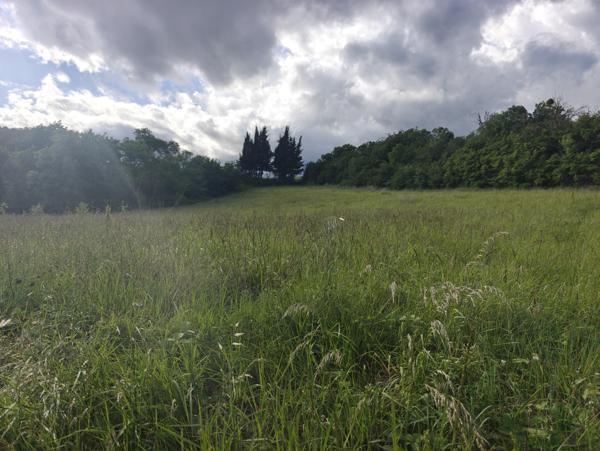 Belvèze-du-Razès - Terrain à bâtir de 1788m²