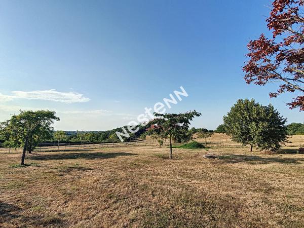 A vendre maison de style 8 chambres avec piscine et dépendances sur 1.7Ha de terrain avec vue Pyrénées Secteur Auterive