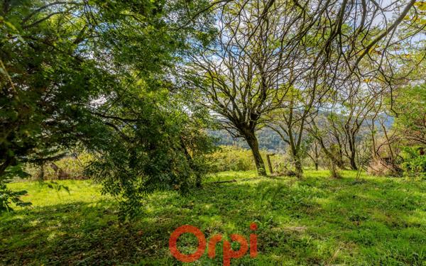 Terrain à vendre    Pranles