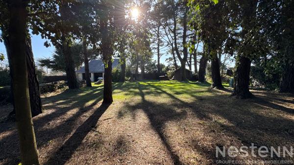 À VENDRE - Chaumière d'exception à Erdeven