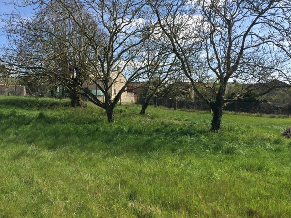 TERRAIN A BATIR - MONTAMISE Montamisé (86360)