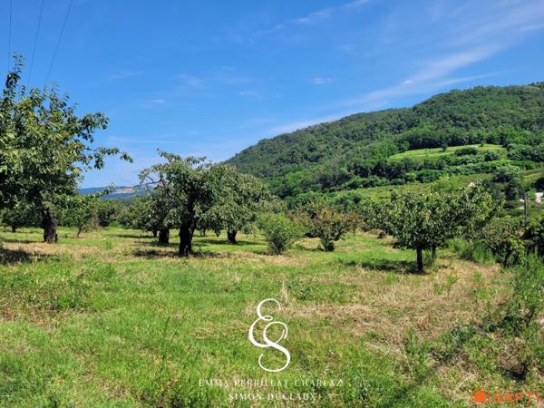 UN ÉCRIN DE VERDURE POUR VOIR GRANDIR VOS PROJETS.