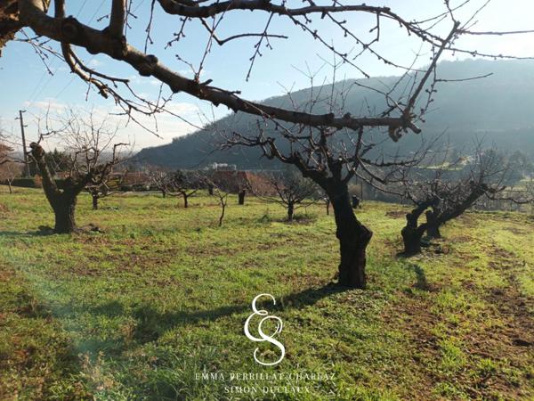 UN ÉCRIN DE VERDURE POUR VOIR GRANDIR VOS PROJETS.