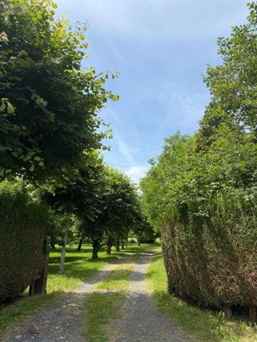 Achat - Maison Saint-Martin-Valmeroux 15140 6 pièces 4080 m 2