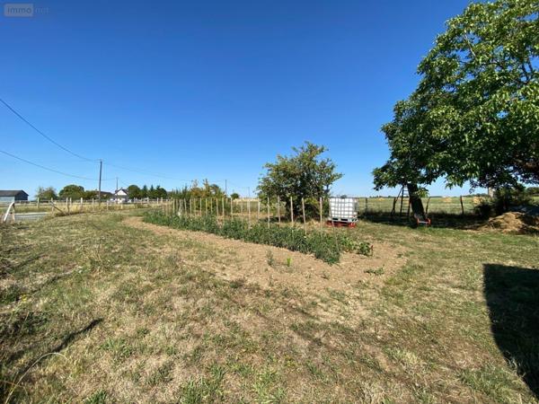 Maison rurale à vendre à Buzançais dans l'Indre (36500), ref : 1051267