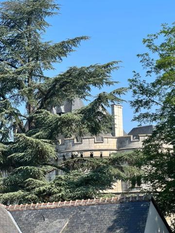 Location - Maison Vendôme 41100 4 pièces 73 m 2 45 m 2