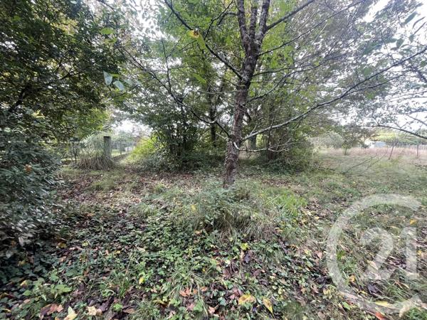 Terrain à vendre  2491 m 2   MONTPON MENESTEROL  - 24