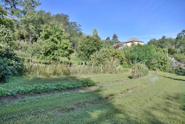 Achat terrain Brive-la-Gaillarde - 2500 m² - 50 000 €
