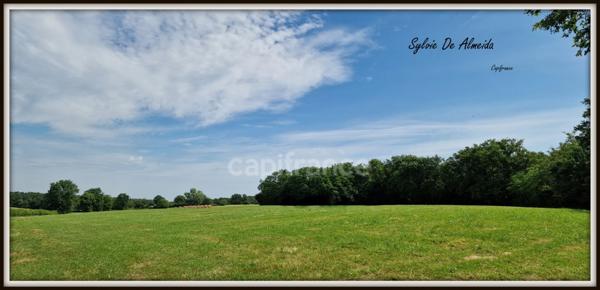 Terrain à vendre, à bâtir, hors lotissement de 3128,00 m² BEREZIAT (01)calme, plat, campagne, Montrevel en Bresse