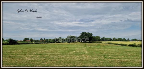 Terrain à vendre, à bâtir, hors lotissement de 3128,00 m² BEREZIAT (01)calme, plat, campagne, Montrevel en Bresse