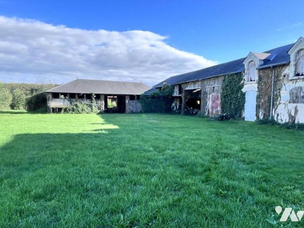 Cops de ferme 41150 VEUZAIN SUR LOIRE 