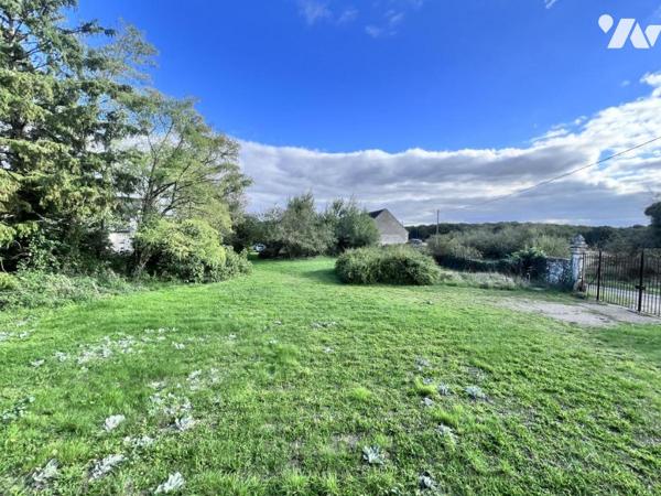 Cops de ferme 41150 VEUZAIN SUR LOIRE 