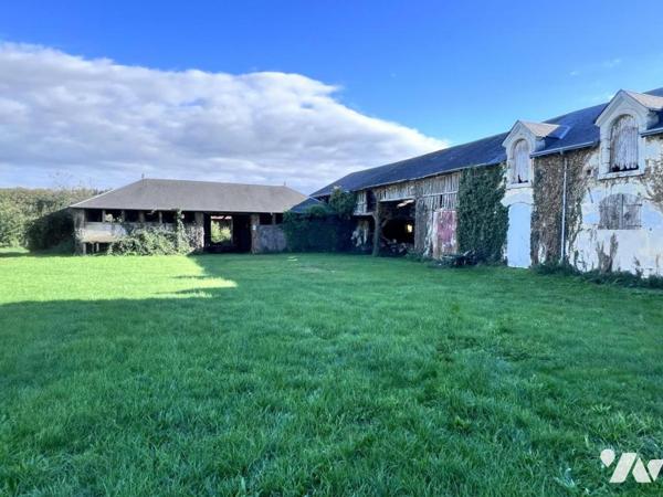 Cops de ferme 41150 VEUZAIN SUR LOIRE 