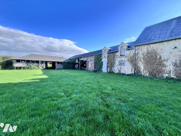 Cops de ferme 41150 VEUZAIN SUR LOIRE 
