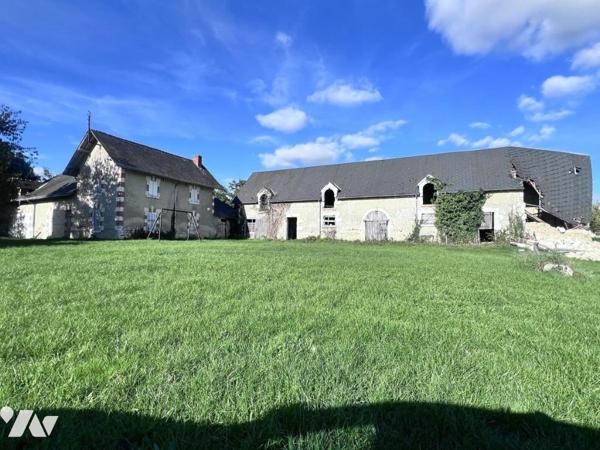 Cops de ferme 41150 VEUZAIN SUR LOIRE 