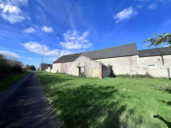 Cops de ferme 41150 VEUZAIN SUR LOIRE 