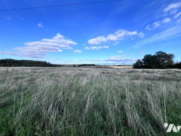 Cops de ferme 41150 VEUZAIN SUR LOIRE 