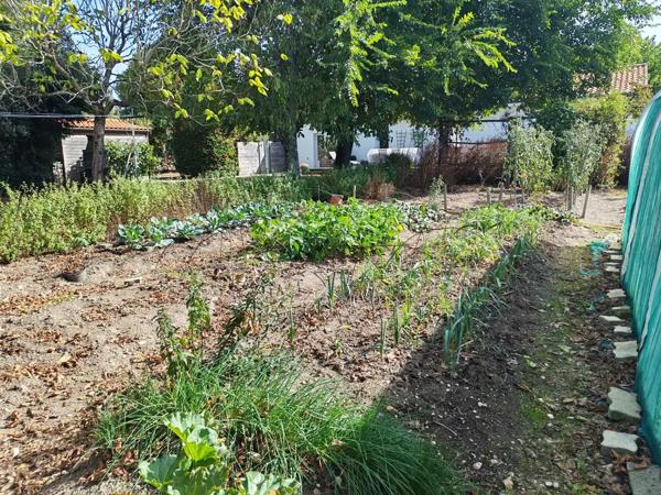 MAISON DE PLAIN-PIED SUR GRAND TERRAIN DE 2 607 M2 -- MACHECO