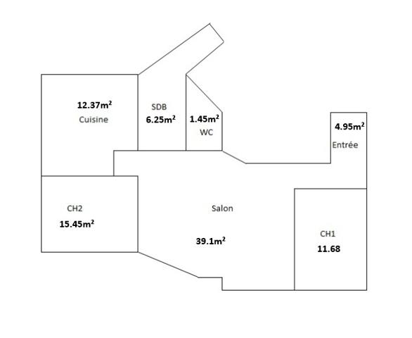 Appartement 3 pièces - 91 m² Bien prestige