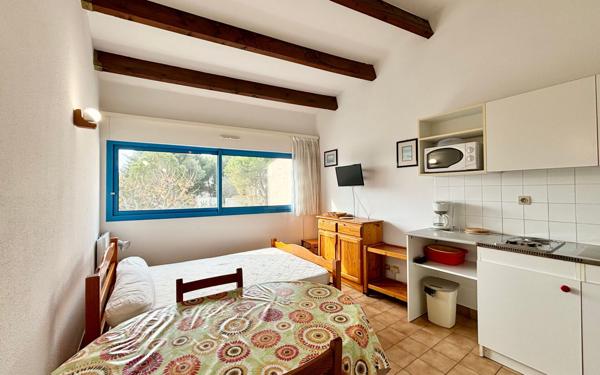 Appartement à vendre    1 pièce •  Balaruc-les-Bains