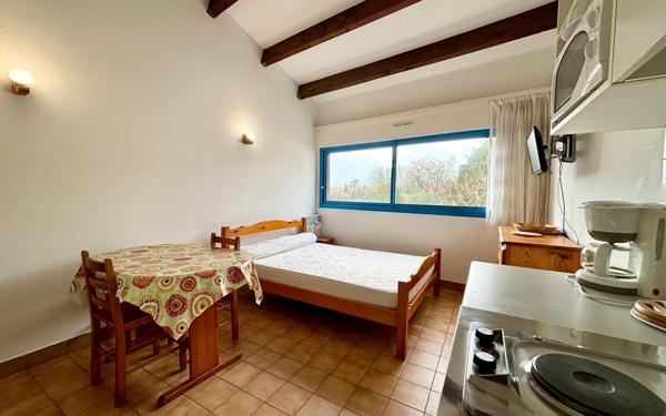 Appartement à vendre    1 pièce •  Balaruc-les-Bains