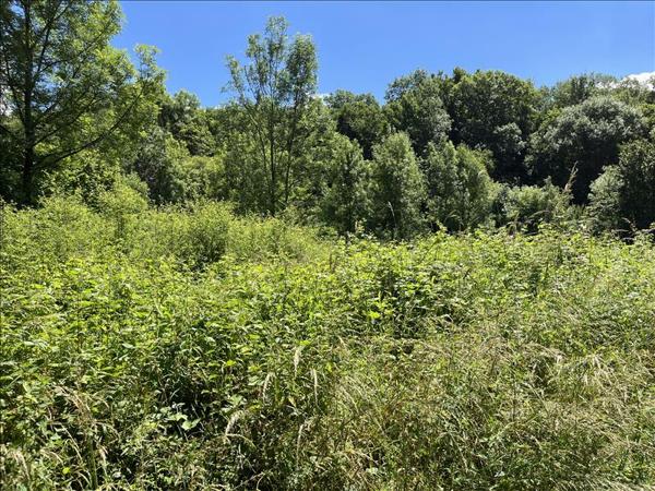 Terrain à vendre |  Saint-Denis-lès-Martel |  6681 m²