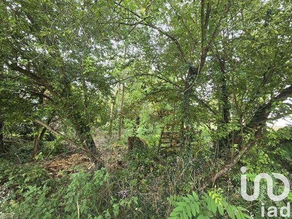 Terrain à vendre 1 249 m² Cellettes