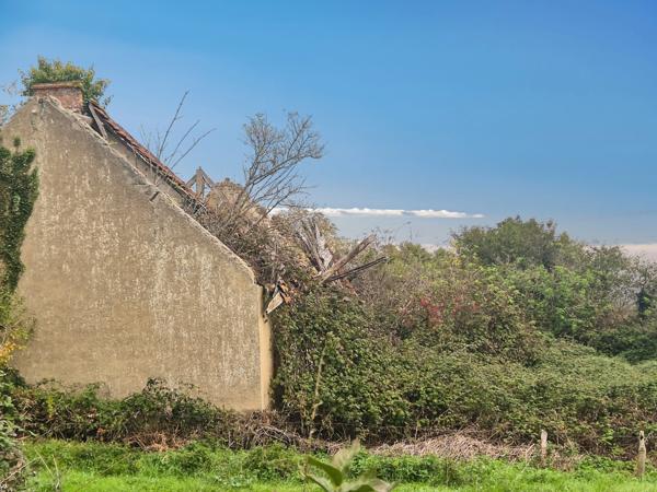 Maison à vendre 5 pièces  (03)