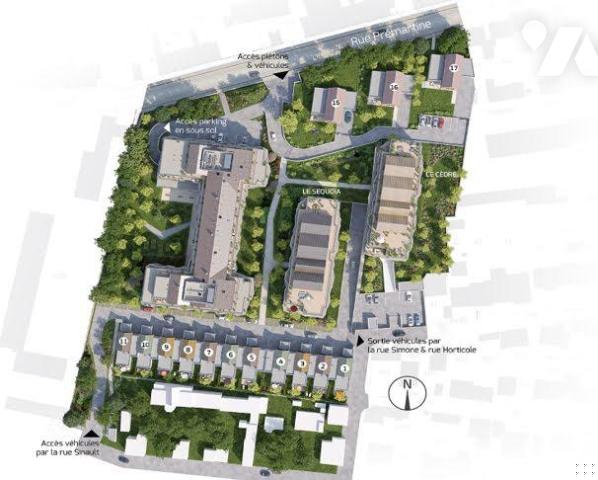 PROGRAMME NEUF LE MANS - PRODUIT RARE 