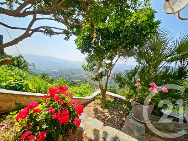 Maison à vendre  7 pièces - 157 m2 OLETTA - 202