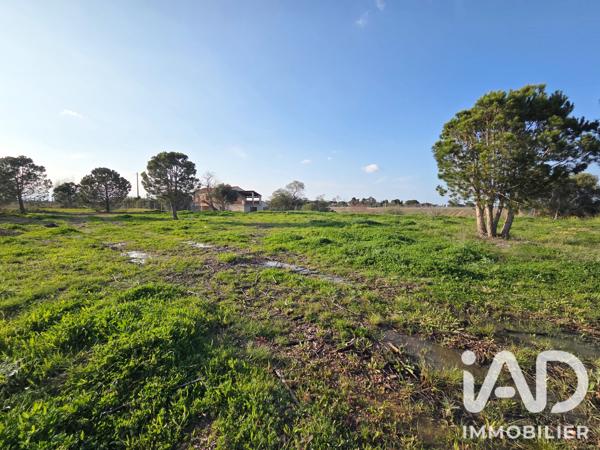Terrain à vendre 2 689 m² Perpignan