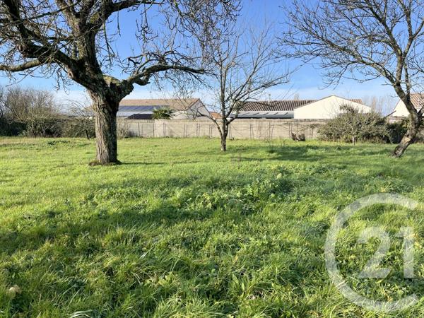 Terrain à vendre  549 m2 NOTRE DAME DE RIEZ - 85