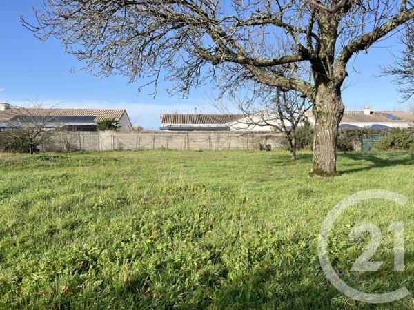 Terrain à vendre  549 m2 NOTRE DAME DE RIEZ - 85