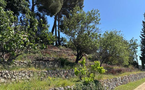 Terrain à vendre    Roquevaire