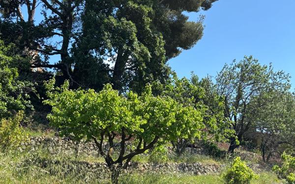 Terrain à vendre    Roquevaire