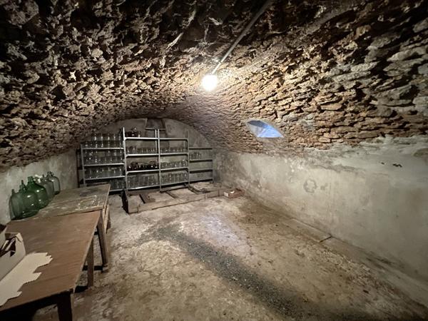 Maison Briarde Grisy-Suisnes 5 pièces 140 m2 + combles de 80 m²