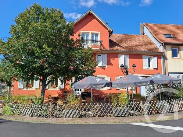 Immeuble à vendre  500 m2 SPARSBACH - 67