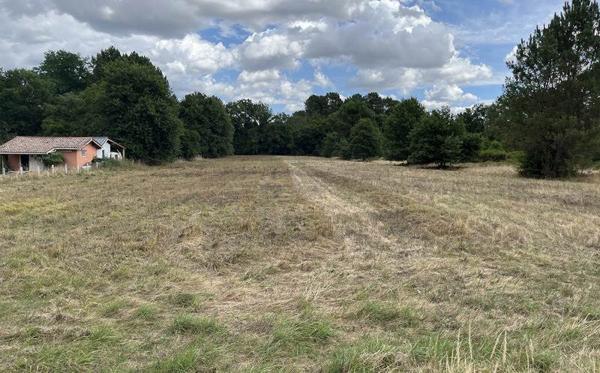 Terrain à vendre |  Casteljaloux |  6510 m²