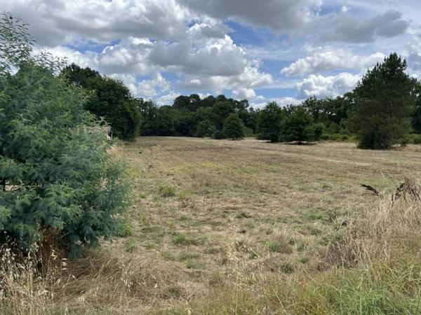 Terrain à vendre |  Casteljaloux |  6510 m²