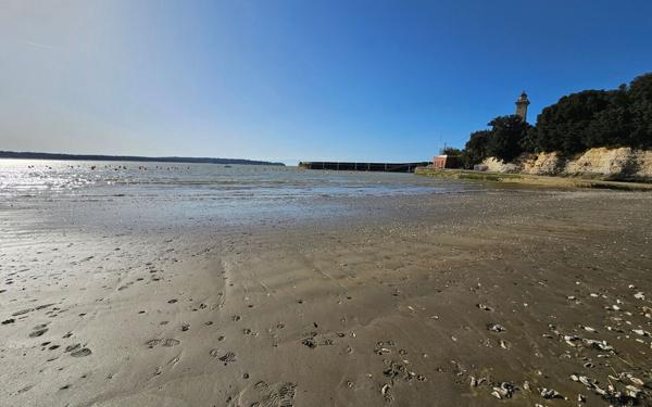 Maison à vendre    3 pièces • 62 m2 Saint-Georges-de-Didonne