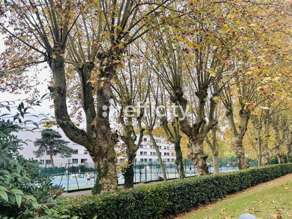 Appartement 2 pièces - 53 m²