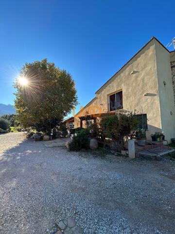 Mas en pleine nature