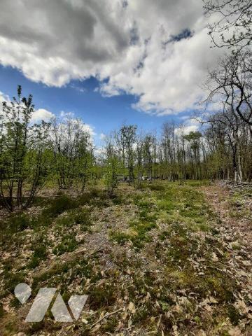 ACHAT : TERRAIN - Mezeray - Sarthe (72)