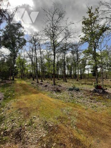 ACHAT : TERRAIN - Mezeray - Sarthe (72)