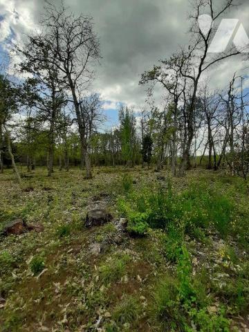 ACHAT : TERRAIN - Mezeray - Sarthe (72)