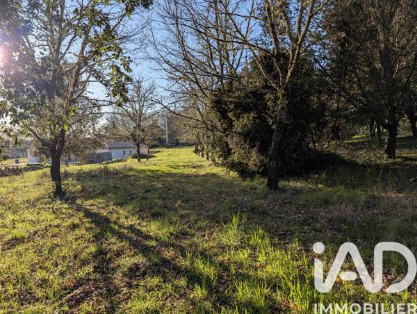 Terrain à vendre 3 153 m² Caubeyres