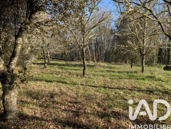 Terrain à vendre 3 153 m² Caubeyres